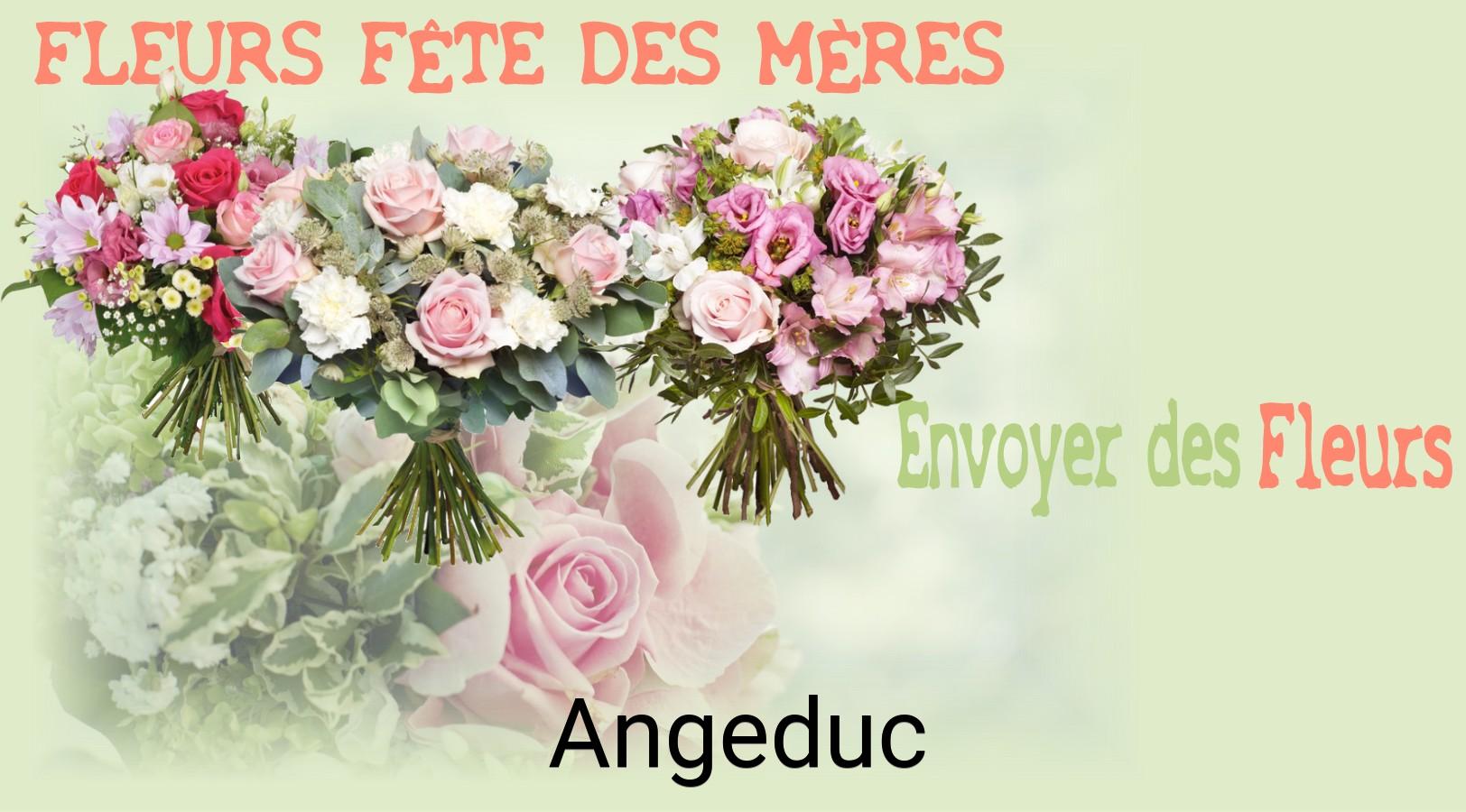 Bouquet de Fête des Mères livré à Angeduc